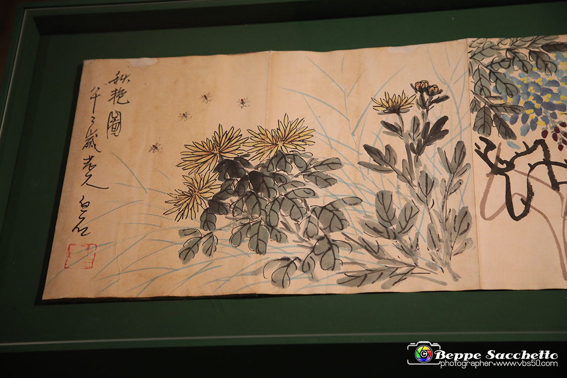 VBS_1702 - Castello di Miradolo - Mostra Oltre il giardino l'Abbecedario di paolo Pejrone.jpg